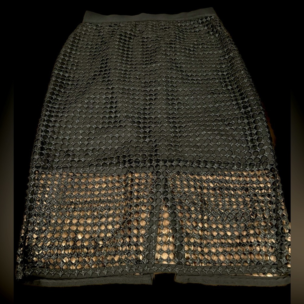 Ann Taylor Skirt